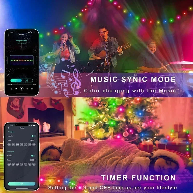 RGBIC Bluetooth String Lights