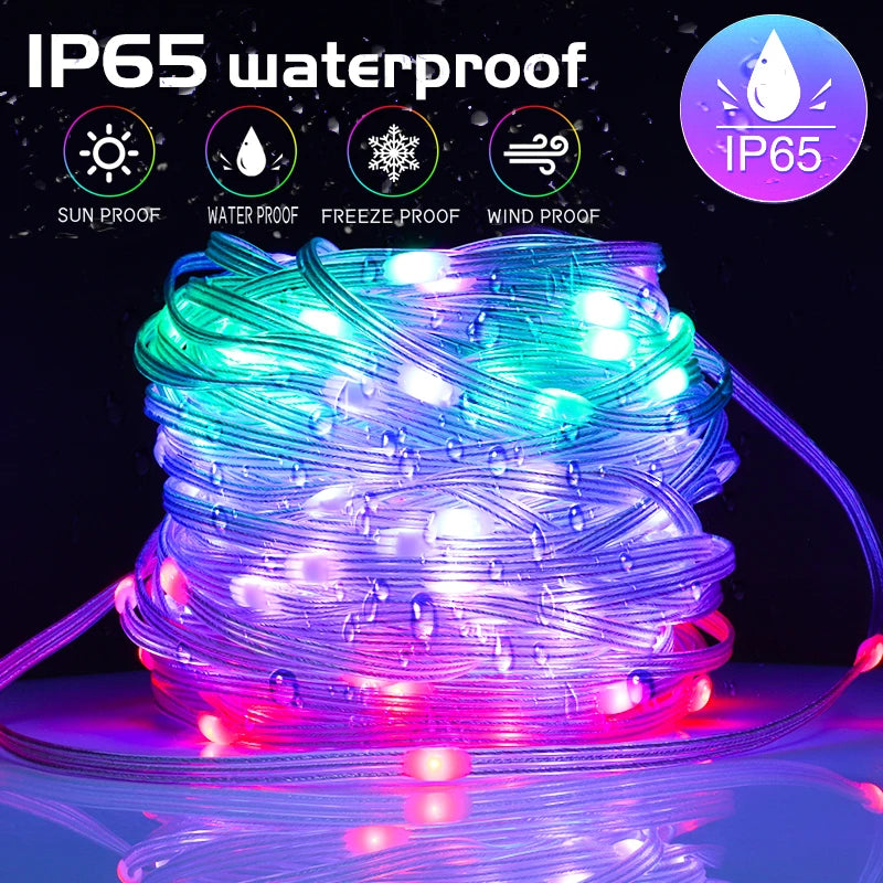 20m RGBIC Smart Fairy String Lights