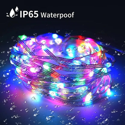 20M USB RGBIC Dream Color LED String Lights